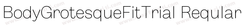 BodyGrotesqueFitTrial Reqular字体转换
